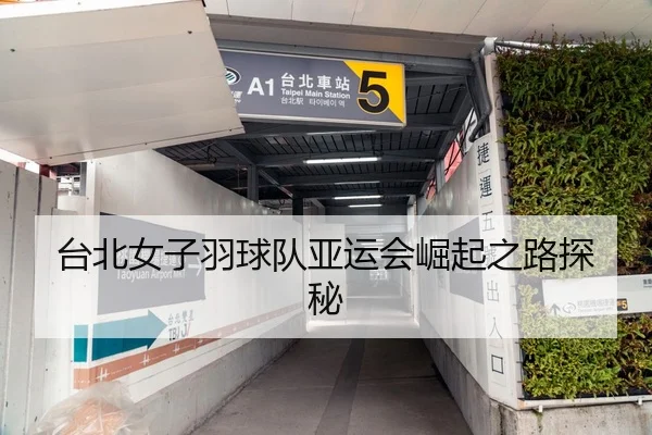 台北女子羽球队亚运会崛起之路探秘